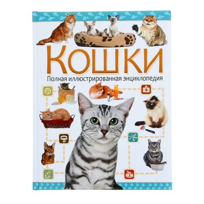 Энциклопедия кошек картинки