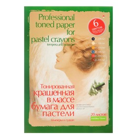 Бумага для пастели, гуаши и темперы А3, 20 листов "Профессиональная серия", тонированная, 6 цветов 150 - 230 г/м²