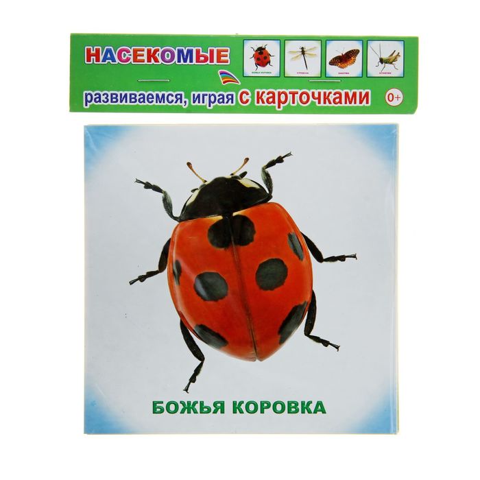 Обучающие карточки &quot;Насекомые&quot;, 12 штук