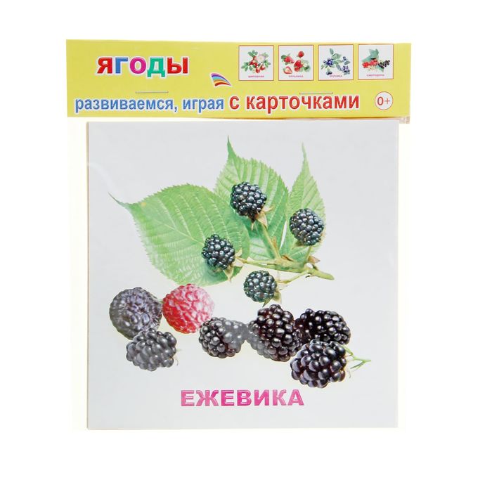 Berry 12. Ежевика карточка для детей. Карточки ягоды. Карточки ягоды для детей. Ягоды маркировка 12 шт.