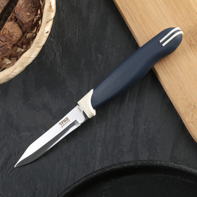 Нож кухонный Труд Вача «Мультиколор», овощной, лезвие 8 см, с пластмассовой ручкой, цвет синий