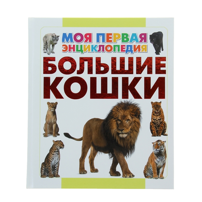 Большие кошки