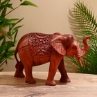 Сувенир дерево "Слон" резной коричневый цвет 20х30х12 см - фото 97969