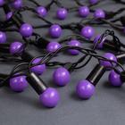 Гирлянда «Нить» 10 м с насадками «Шарики 1.5 см», IP44, тёмная нить, 100 LED, свечение фиолетовое, 8 режимов, 220 В 185546