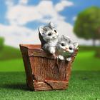 Фигурное кашпо "Ящик с котятами" Н-21см, D-13см - фото 8282260