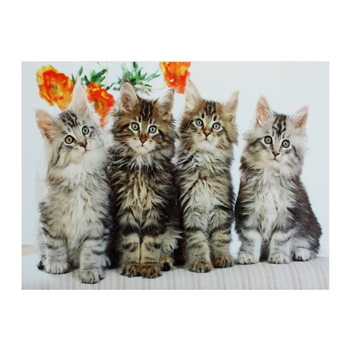 Кот одной линией. Картина четыре кота в стильной французской одежде. Лист для письма с котиками. 4 котика в линию. 35 котиков.