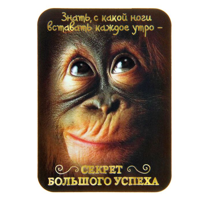 фото картинки для магнитиков тона наполнены спокойствием