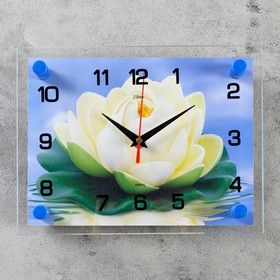 Часы настенные, серия: Цветы, "Кувшинка", 20х26  см, микс в Донецке