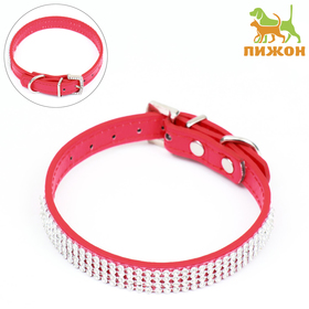 Collar with rhinestones in 4 rows of rhinestones on the buckle, 40 x 1.5 cm, red