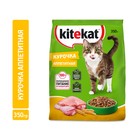 Сухой корм KiteKat "Аппетитная курочка" для кошек, 350 г Сухой корм KiteKat "Аппетитная курочка" для кошек, 350 г
