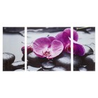 Картина модульная на стекле "Орхидеи"  2-25*50, 1-50*50 см,    100*50см - фото 100200