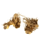 Коряга Натуральная "Корень бамбука" для декора, UDeco Bamboo hair root M, размер 15-30 см, 1 шт