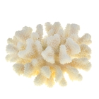Коралл пальчиковый среднего размера для оформления аквариумов, UDeco Finger Coral M 1 шт