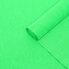 Бумага гофрированная, 563 "Зелёная", 0,5 х 2,5 м - фото 1153302