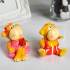 Souvenir "Monkey bright" MIX Souvenir "Monkey bright" MIX