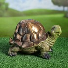Садовая фигура "Черепаха Уилсон", зелёный цвет, гипс, 18 см - фото 2682561