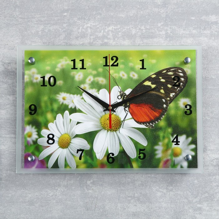 Часы настенные, серия: Цветы, "Бабочка и ромашки", 25х35  см, микс - фото 101958