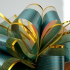 Бант-шар №5 "Узор", цвет зеленый 1112791