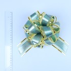 Бант-шар №5 "Узор", цвет зеленый 1112791