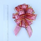 Бант-шар №5 "Узор", цвет красный 1112786