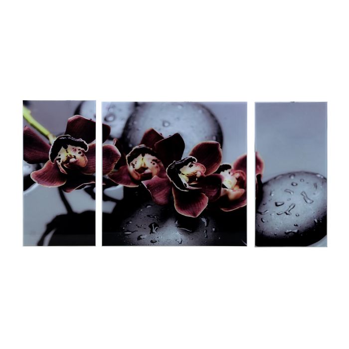 Картина модульная на стекле "Черная Орхидея" 2-25*50, 1-50*50 см,  100*50 см - фото 8282843