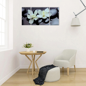 Модульная картина на стекле "Пара орхидей"  2-25*50см, 1-50*50см 100*50см