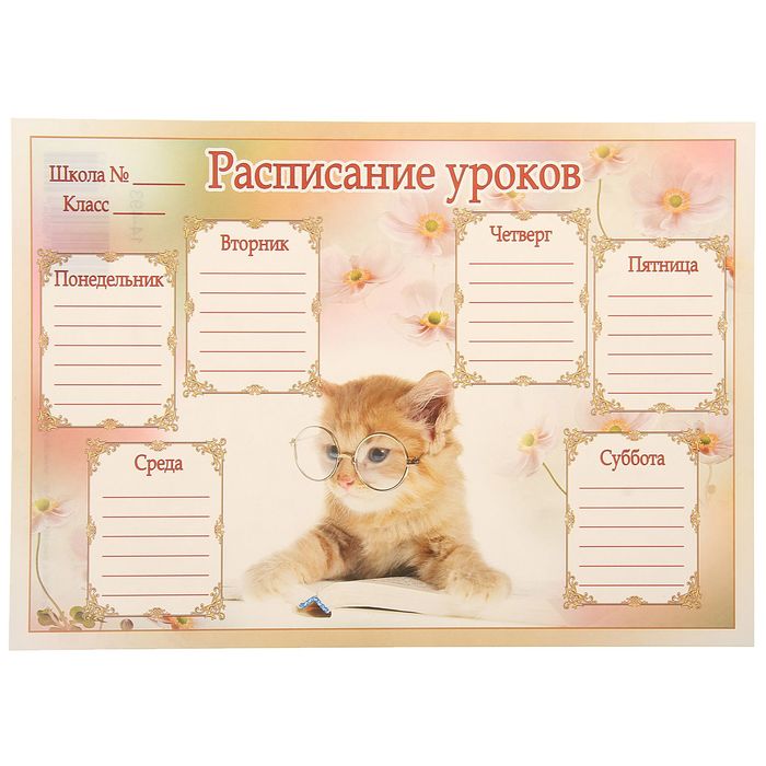 расписание уроков для девочек. расписание картинка котята. расписание уроков с котятами. расписание уроков с котиками. расписание уроков с котиками.