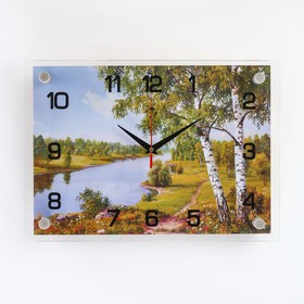 Часы настенные, серия: Природа, "Река", 25х35  см, микс