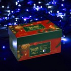 Гирлянда «Нить» 10 м, IP44, тёмная нить, 100 LED, свечение бело-синее, мигание, 220 В 1079991