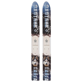 Лыжи деревянные «Тайга», 145 см, цвета МИКС