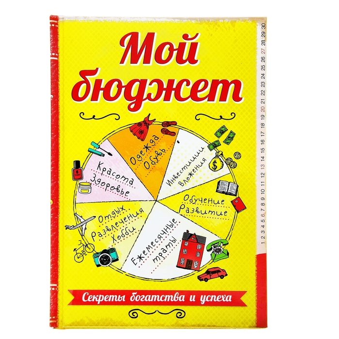 Мой бюджет. Бюджет на один день. Семейный бюджет доходы и расходы семьи таблица. Мой бюджет. Программа для ведения бюджета семьи.