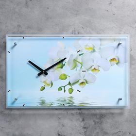Часы настенные, серия: Цветы, "Белые цветы у воды", 35х60  см, микс