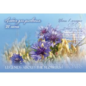 Альбом для рисования А4, 20 листов на скрепке "Цветы в легендах", обложка мелованный картон, блок офсет 100 г/м2, МИКС