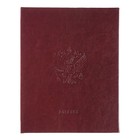 Премиум-дневник универсальный, для 1-11 класса Vivella "Россия", обложка искусственная кожа, бордовый - фото 3935201