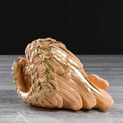 бежевые перья. ангел эстетика. перья птиц. белые крылья. крылья бежевого цвета.