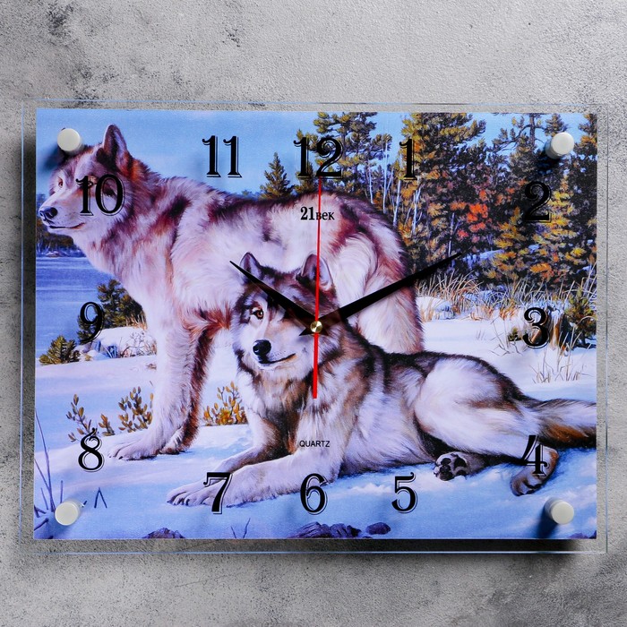 Часы настенные прямоугольные "Волки в зимнем лесу", 30х40 см микс