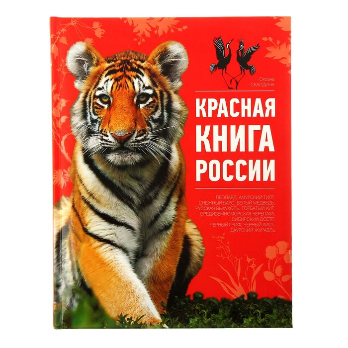 Красная книга России. 2-е изд. Автор: Скалдина О.В.