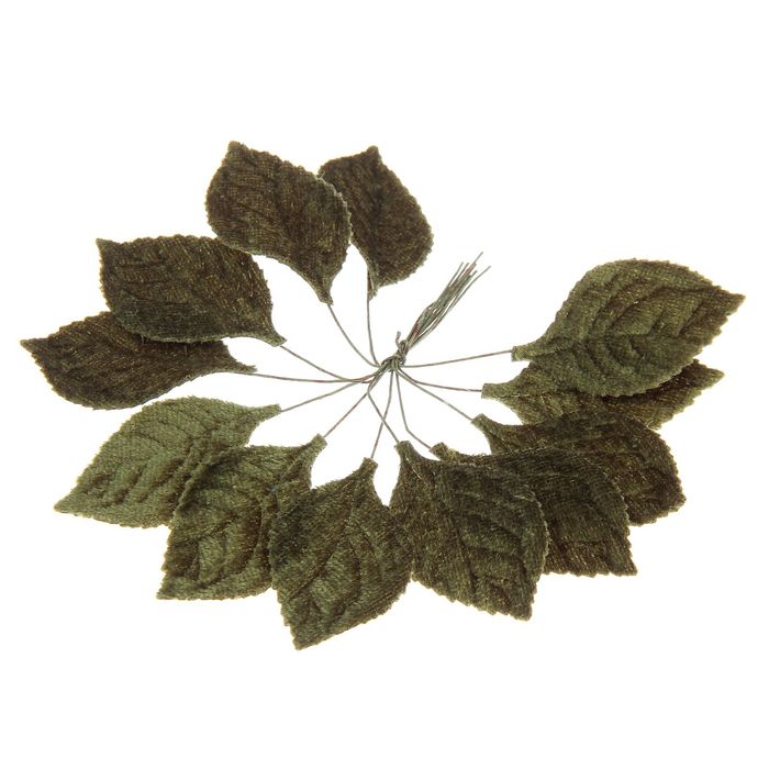 Бархатные листочки. Бархатные листья. Бархатные листья. Круглые листья для декора. Бархатные листочки.