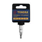 Головка с битой ТУНДРА, под квадрат 1/4", H4, CrV 1123584 Головка с битой ТУНДРА, под квадрат 1/4", H4, CrV 1123584