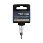 Головка с битой ТУНДРА, под квадрат 1/4", Т10, CrV 1123575 Головка с битой ТУНДРА, под квадрат 1/4", Т10, CrV 1123575