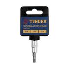 Головка с битой ТУНДРА, под квадрат 1/4", H5, CrV 1123585 Головка с битой ТУНДРА, под квадрат 1/4", H5, CrV 1123585