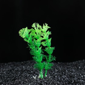 Растение искусственное аквариумное Амбулия, 10 см, зеленая (10 шт)