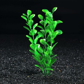 Растение искусственное аквариумное Бакопа каролинская, 20 см (10 шт)