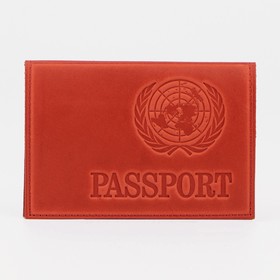{{photo.Alt || photo.Description || 'Обложка для паспорта, латинские буквы, цвет розовый'}}