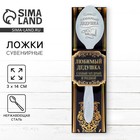 Ложка с гравировкой сувенирная в подарочной коробке "Любимый дедушка" Ложка с гравировкой сувенирная в подарочной коробке "Любимый дедушка"