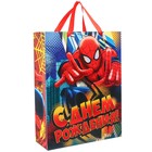 Пакет ламинат вертикальный "С Днем Рождения", Человек-Паук, 31 х 40 см 1120632