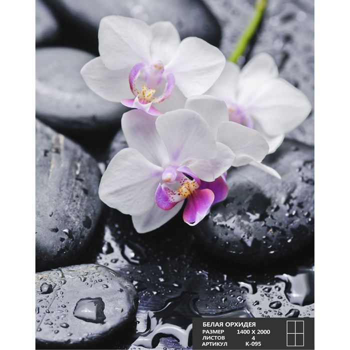 Фотообои К-095 «Белая орхидея» (4 листа), 140 × 200 см