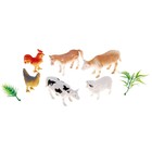 Set animal "Pets", 6 figures with accessories
