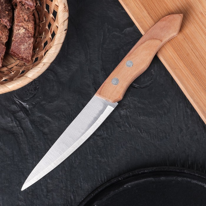 Нож для овощей "Фортуна", лезвие 13,5 см
