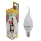 Лампа светодиодная ASD LED-СВЕЧА НА ВЕТРУ-standard, Е14, 7.5 Вт, 230 В, 3000 К, 675 Лм Лампа светодиодная ASD LED-СВЕЧА НА ВЕТРУ-standard, Е14, 7.5 Вт, 230 В, 3000 К, 675 Лм